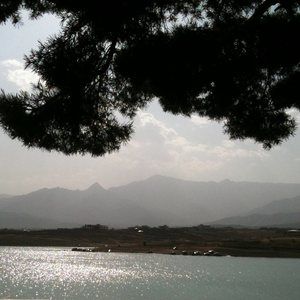 Meet your Posher, Tara